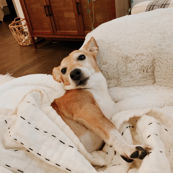 Meet Your Seller! - Picture 4 of 8